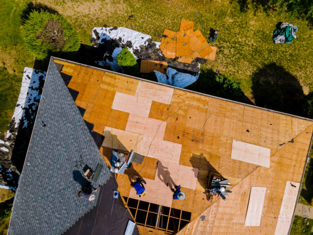 Roof Gutter Cleaning in Panguitch, UT